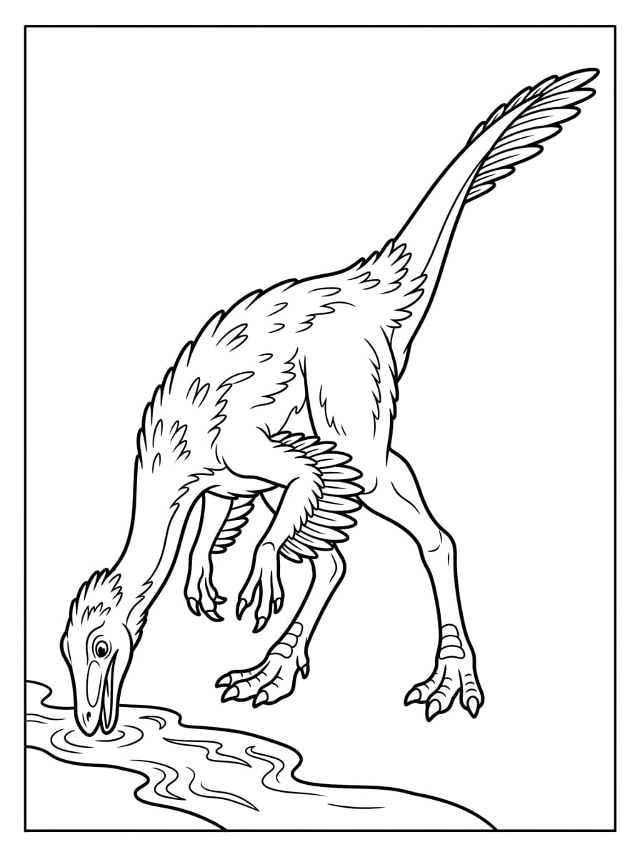 Free Printable Free Struthiomimus Facts & Coloring Pages for Kids PDF - High Resolution Sheet 4