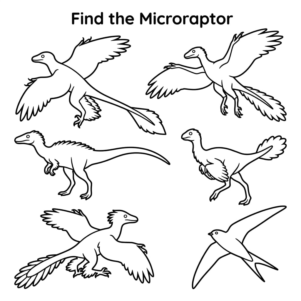 Free Printable Free Microraptor Facts & Coloring Pages for Kids PDF - High Resolution Sheet 3