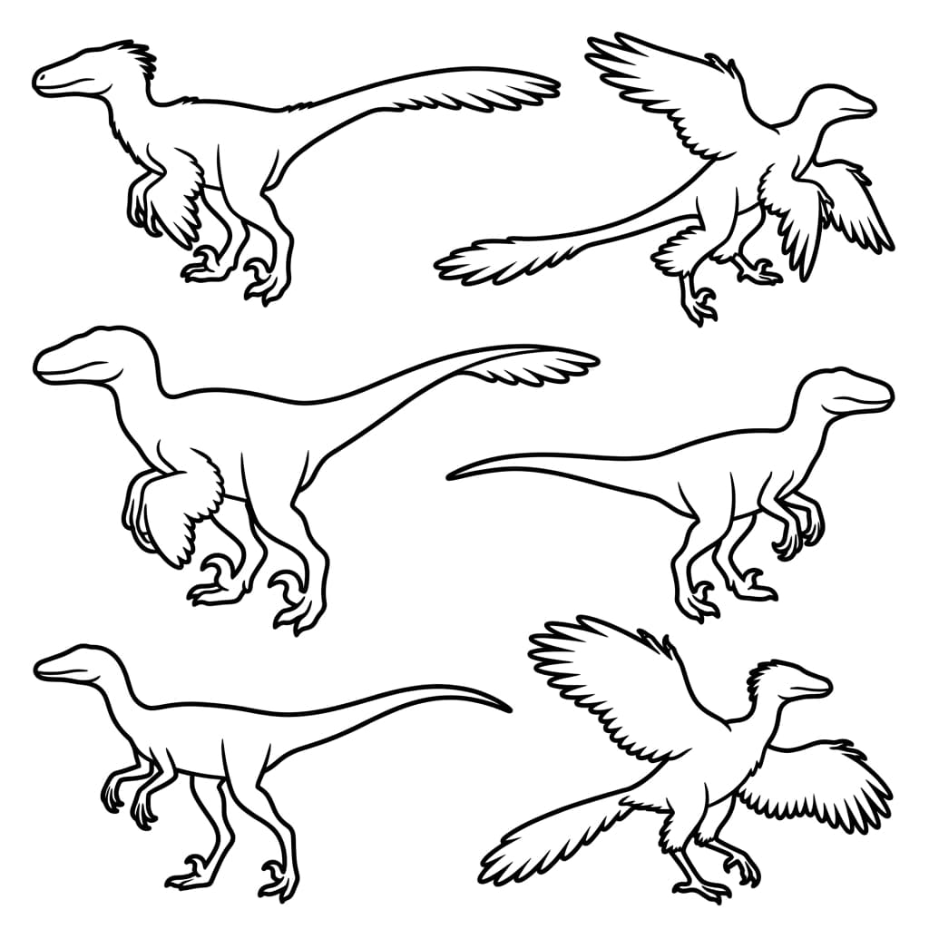 Free Printable Free Pyroraptor Facts & Coloring Pages for Kids PDF - High Resolution Sheet 3
