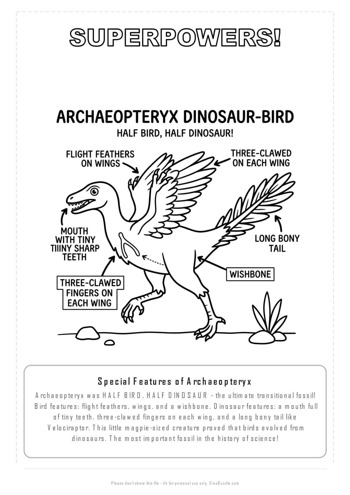 Archaeopteryx printable page 7