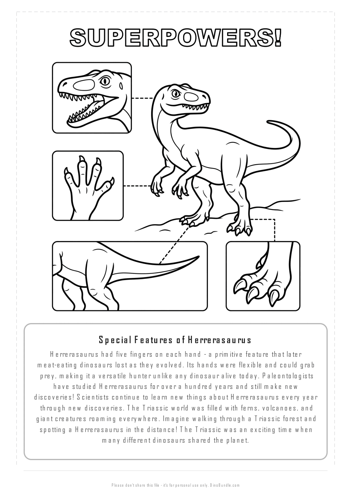 Herrerasaurus printable page 7