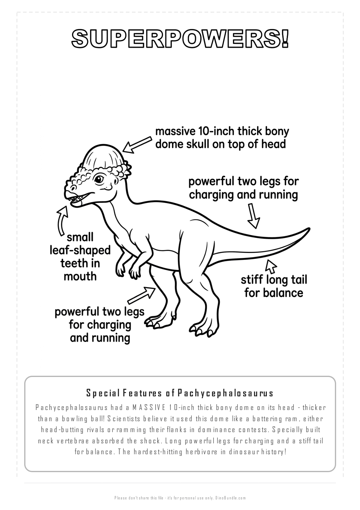 Pachycephalosaurus printable page 7