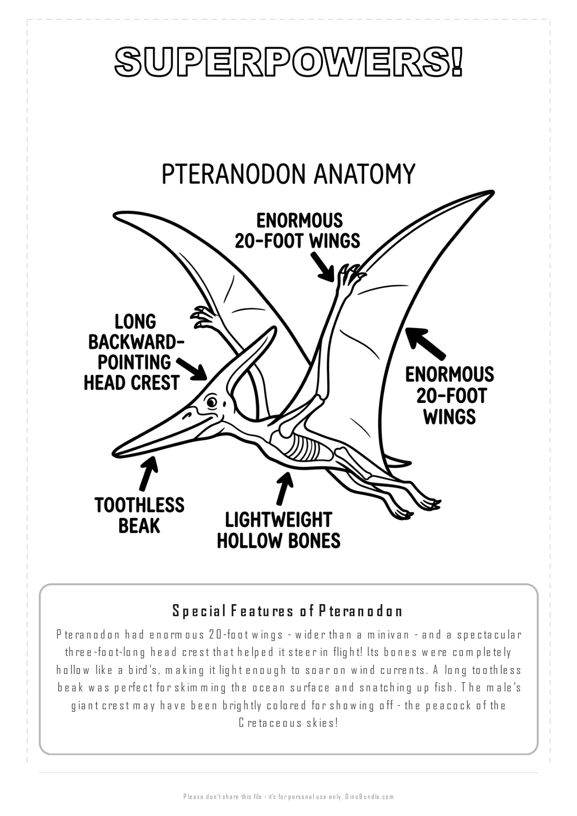 Pteranodon printable page 7