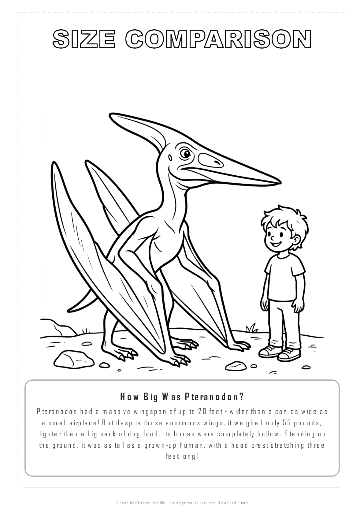 Pteranodon printable page 8